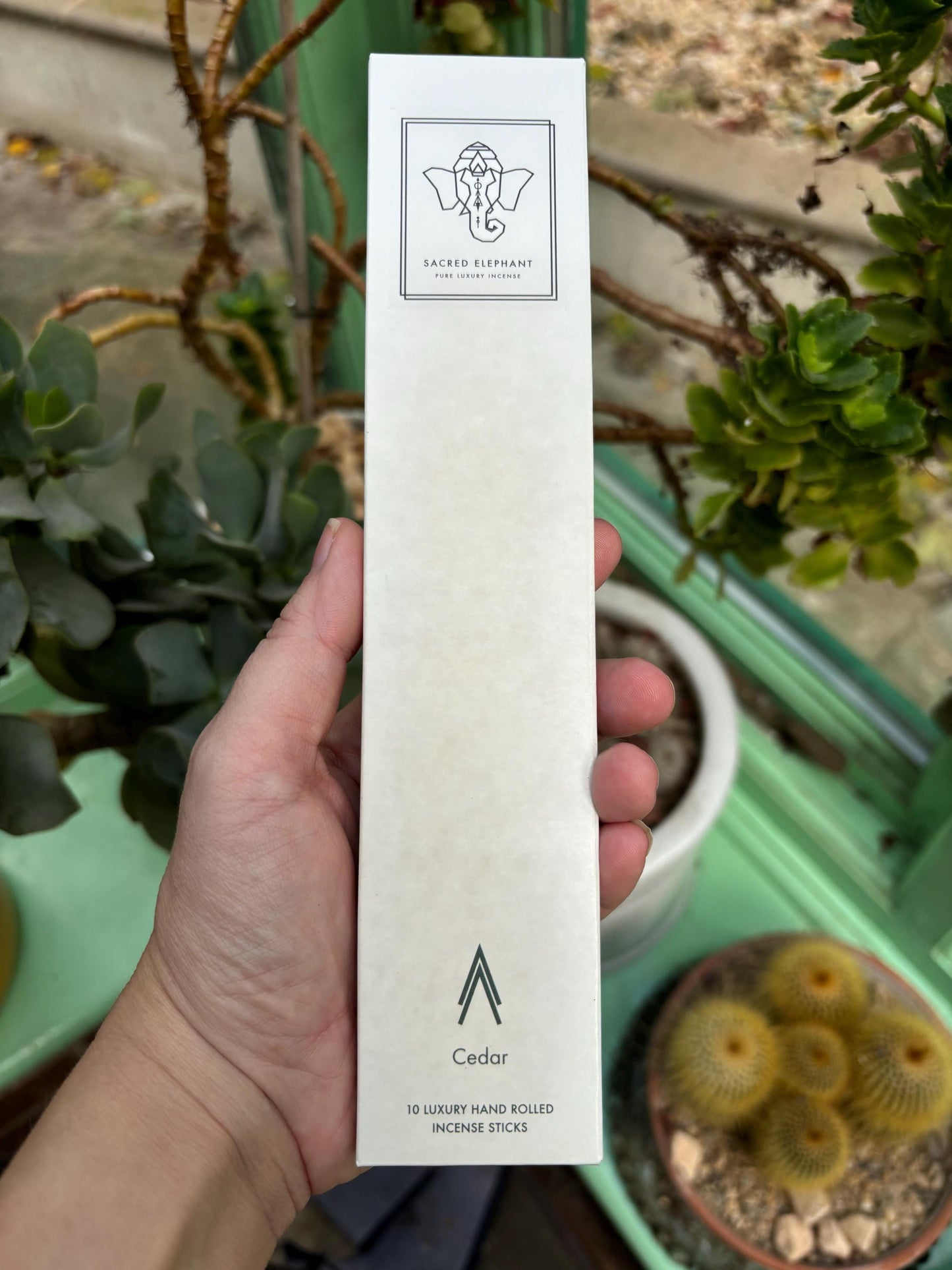 Cedar - Sacred Elephant Luxury Incense (10 Sticks)